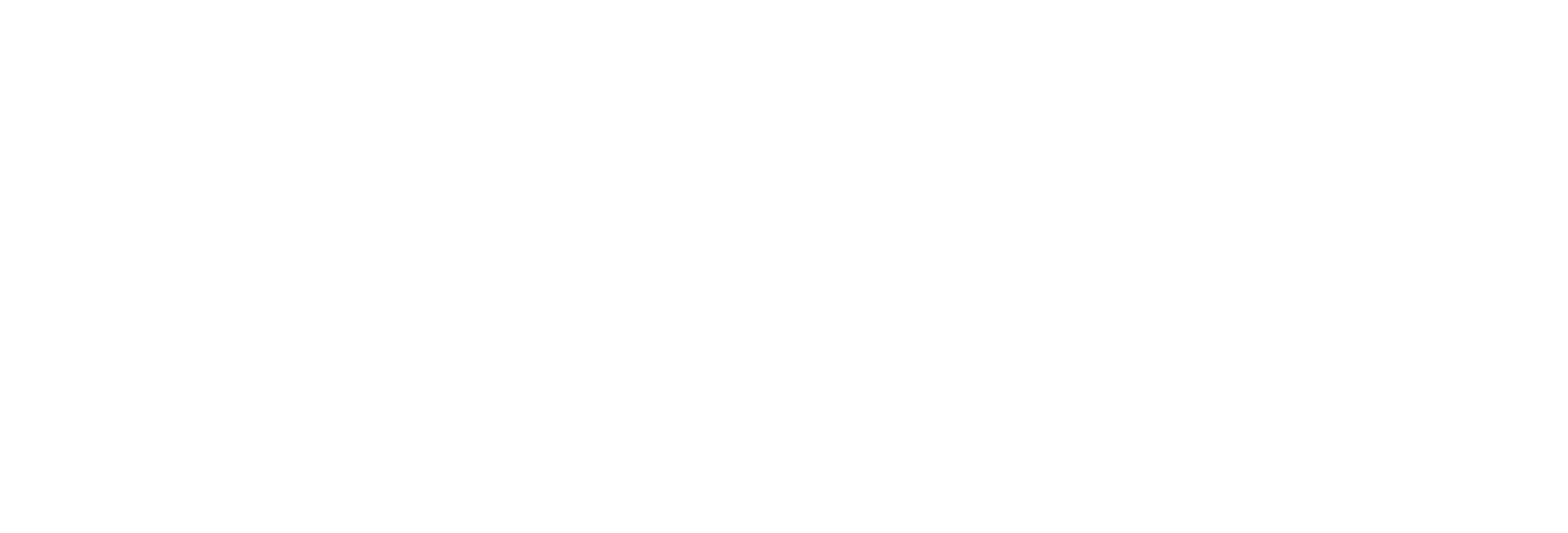 Bingos Conexión